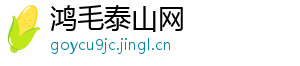 鸿毛泰山网